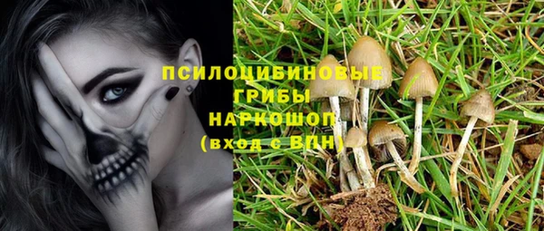 дмт Арсеньев