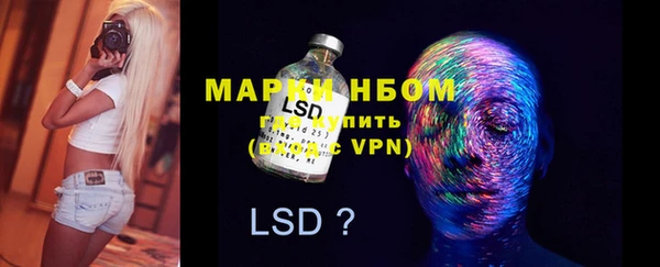трава Аркадак