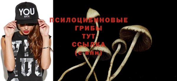 дмт Арсеньев