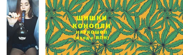 дмт Арсеньев