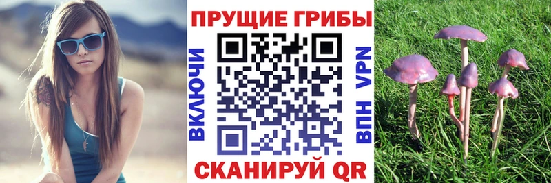 наркошоп  даркнет какой сайт  Псилоцибиновые грибы мухоморы  Чадан 